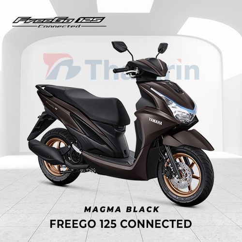 Product FREEGO 125 CONNECTED